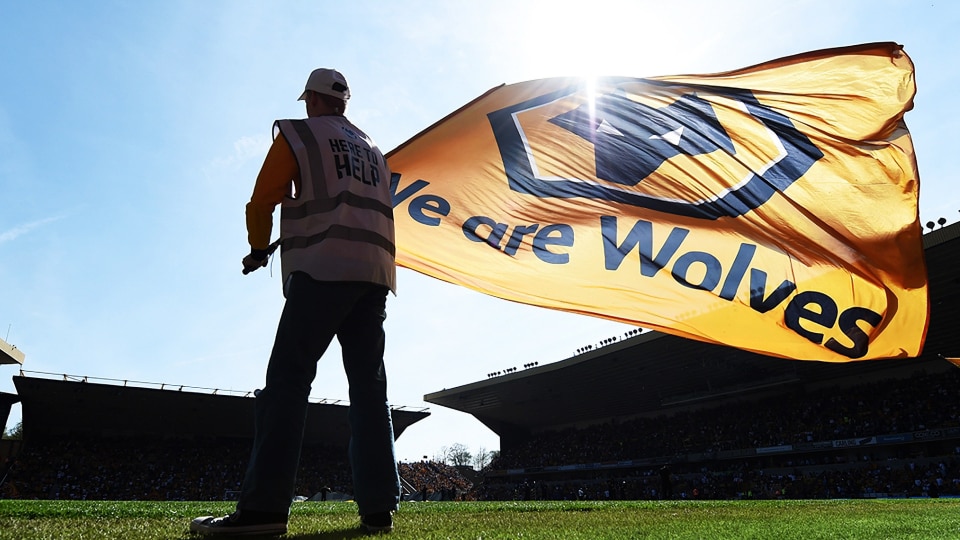 Wolverhampton Wanderers fan