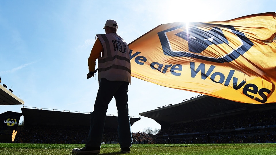 wolves flag.
