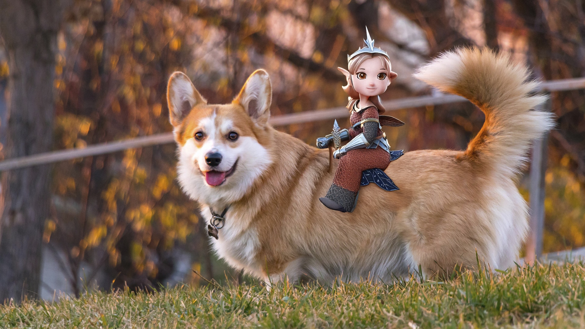A corgi dog with a fairy warrior on its back