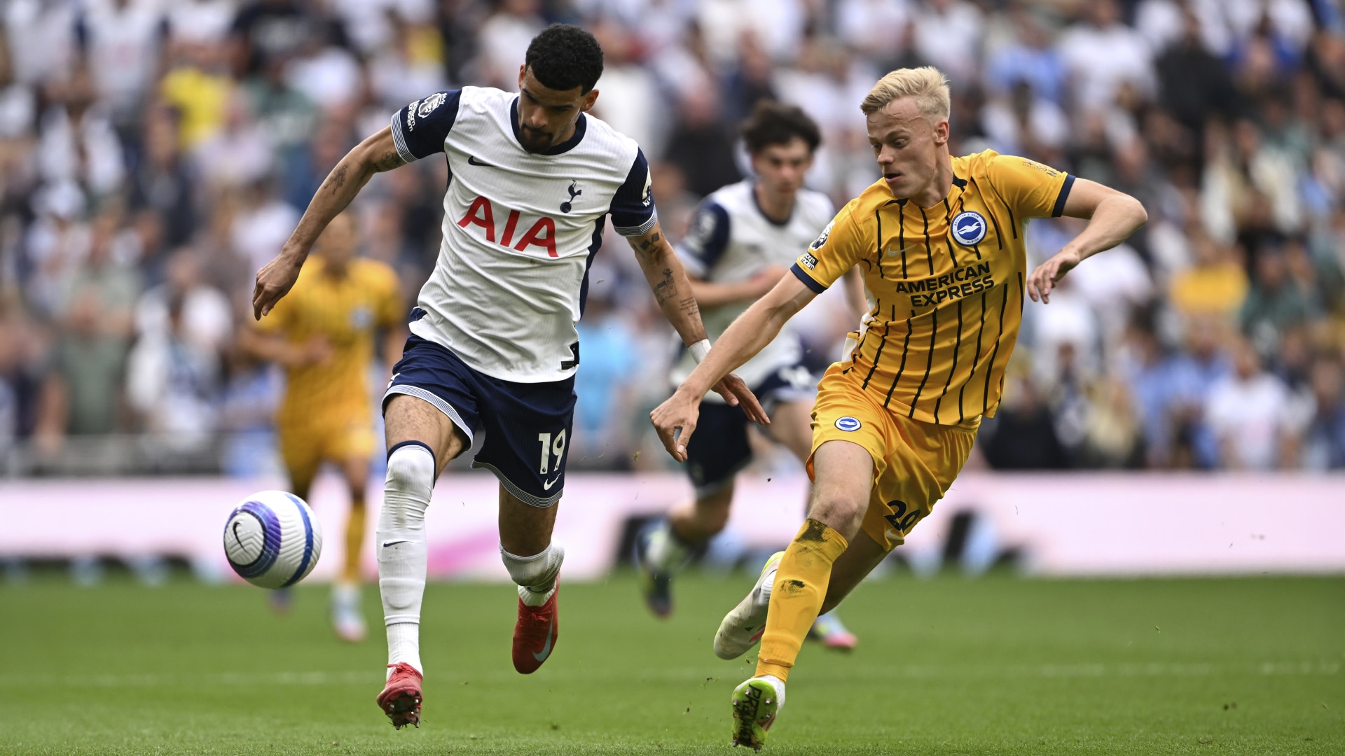 Dominic Solanke of Tottenham Hotspur runs with the ball under pressure from Jan Paul van Hecke of Brighton & Hove Albion