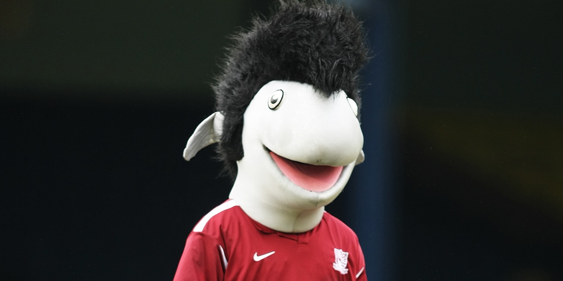 Southend United's mascot is Elvis J. Eel. Jellied eels are a traditional food in the south east of England. Have you ever tried them? Do you know what they are?