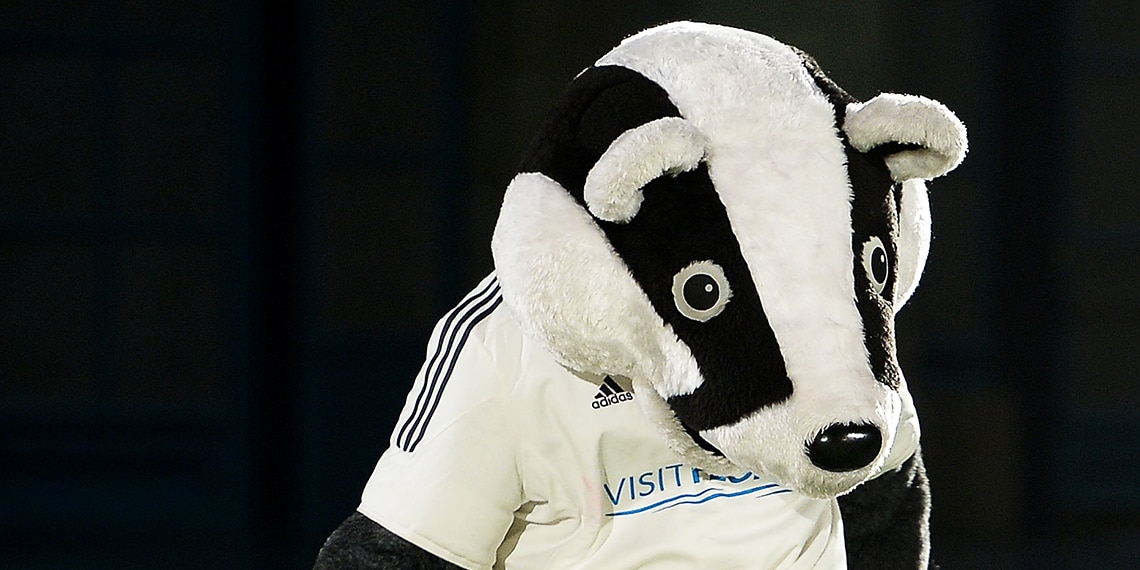 Ludlow Badgers FC play in black and white stripes but Rowan wants to change their away kit for something more radical.