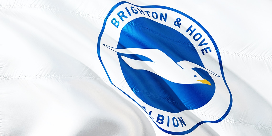 Brighton & Hove Albion play in the Premier League and their nickname is the 'Seagulls'.