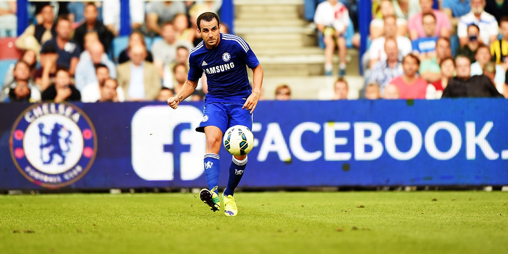 Cesc Fabregas of Chelsea.